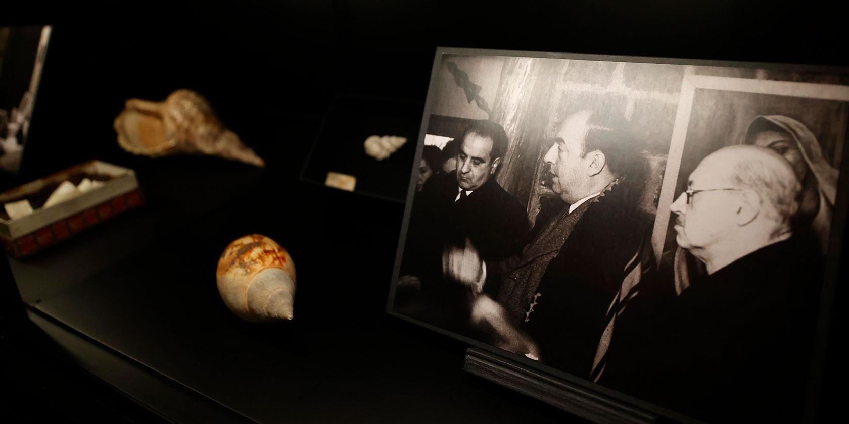 U. de Chile inauguró muestra artística con miles de caracolas de Pablo Neruda